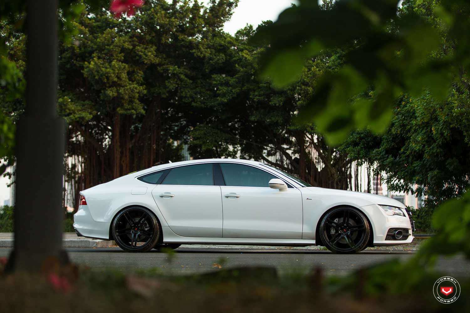 Gallery VOSSEN VPS-302 vossen_VPS302_Mono_Gallery_3.jpg