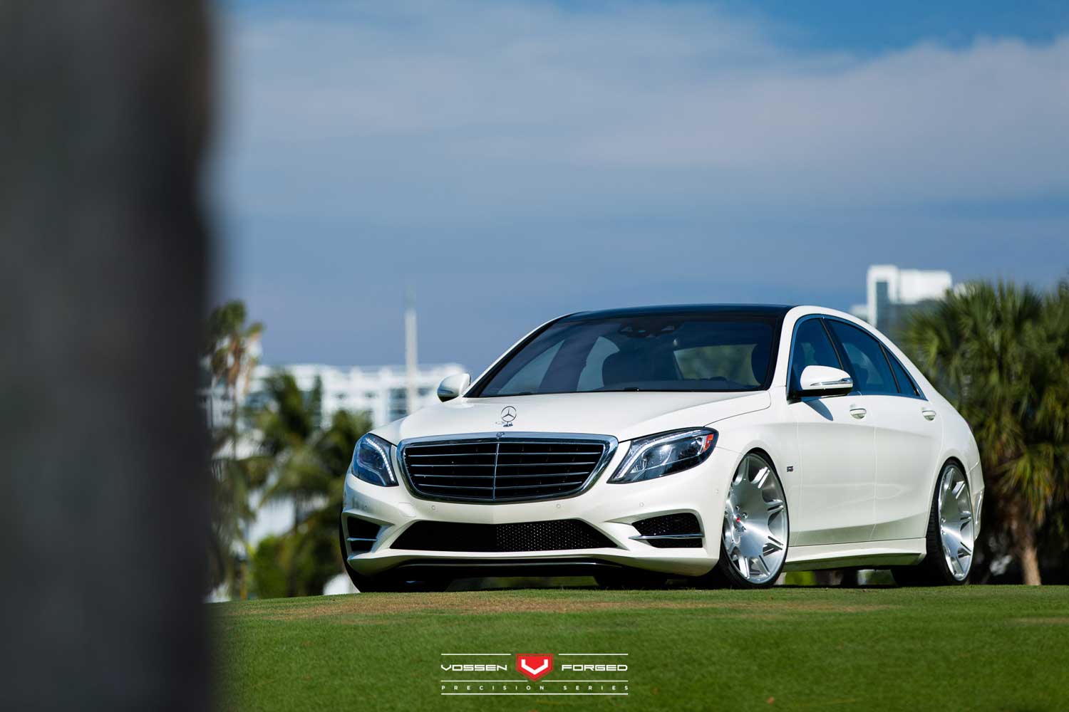 Gallery VOSSEN VPS-312 vossen_VPS312_Mono_Gallery_2.jpg