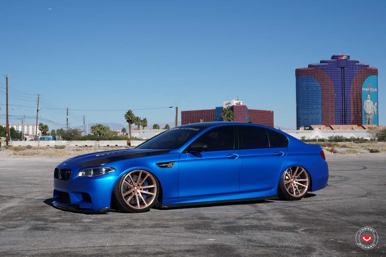 Gallery VOSSEN CG-203 vossen_CG203_Mono_Gallery_3.jpg