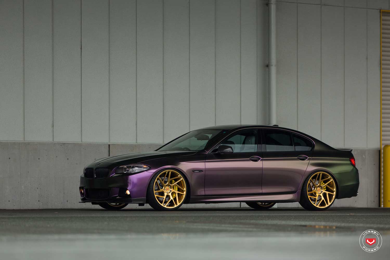 Gallery VOSSEN CG-209T vossen_CG209T_Mono_Gallery_1.jpg